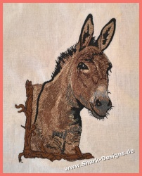 Donkey, the much too little...